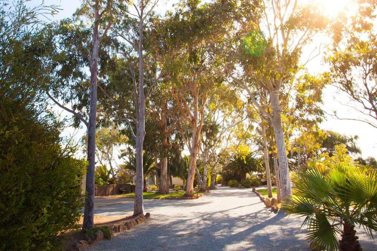 Modra'S Apartments Tumby Bay Exterior photo